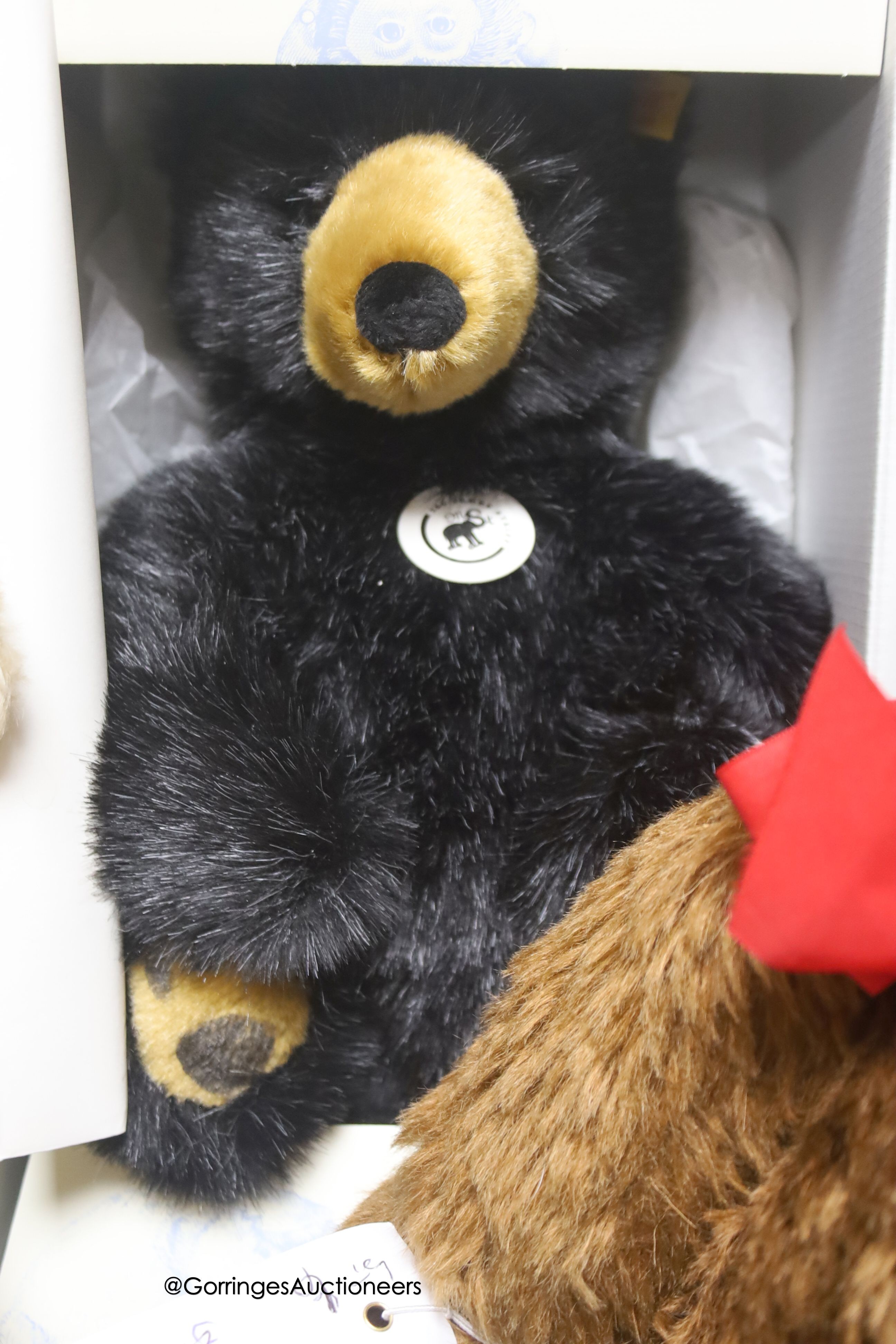 A modern Steiff bear with a 1950 Steiff